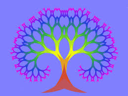   Organic Evolution   S Gi o Coimbra    