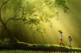 Journey
