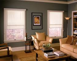      favorite among  window coverings   