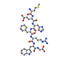 Molecule of  ACTH 