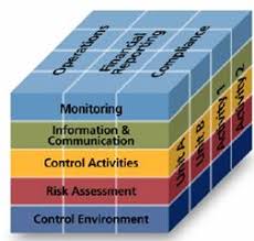 Analyzing the COSO  Internal Control      