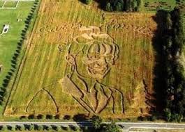 has carved a corn maze in