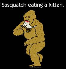 Sasquatch in Georgia are - via Daymix