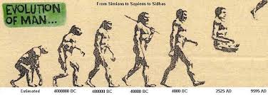 Creation  Evolution   Headlines