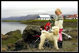 Höfn (meaning: seaport,