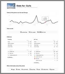 Flickr Add Stats to Pro - via Daymix