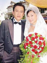 再续意难忘全集