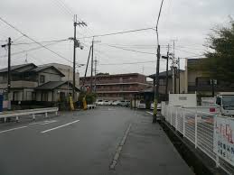 見城ミキ役の画像7