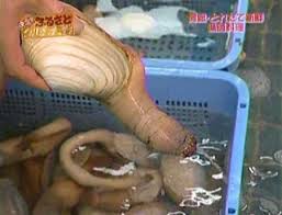 巨根だけど先細り