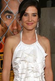 Cobie Smulders