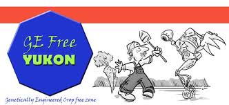   GE   free Yukon