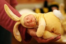baby-bunny-photo-by-anne- ...