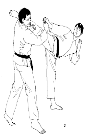 Karate Graphics Page1 - via Daymix