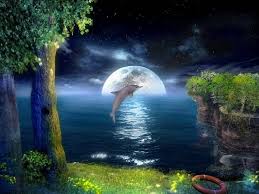 3D  Dolphins   Screensaver 1 0    