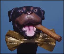Triumph, the Insult Comic Dog