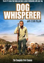 Dog Whisperer With Cesar - via Daymix