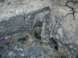 A tar  pit   at Rancho  La Brea   