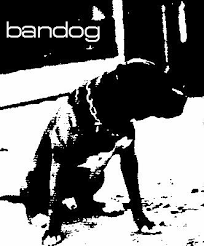   bandog  