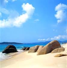 海