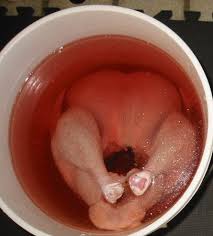 Brine Poultry