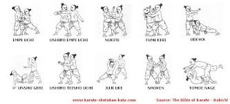 UNDERSTANDING KARATE SHOTOKAN - via Daymix