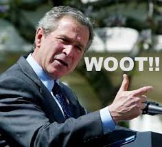 “w00t” Named Word of the Year