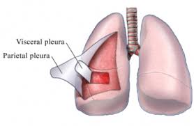 http://www.aurorahealthcare.org/healthgate/images/si55551434.jpg