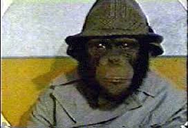 International spy and lead singer of Lancelot Link and the Evolution Revolution.