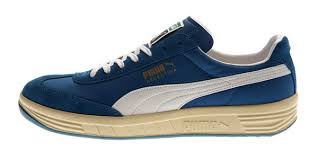      of the Puma  Argentina model   with    