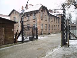 of Auschwitz (I highly - via Daymix