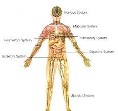 class website on the body! - via Daymix