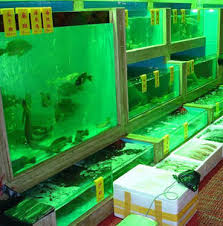 Seafood -Cantonese Cuisine - via Daymix