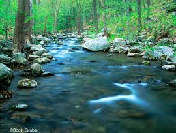   NATURAL   RESOURCES Links 