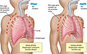 Negative Pressure Breathing