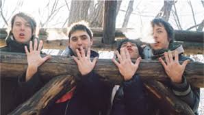      to see  Animal Collective   tonight    