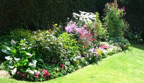 gardening-tips-for-spring.jpg
