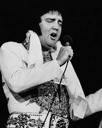 Image <b>Elvis Presley</b> in Concert   Gig Picture