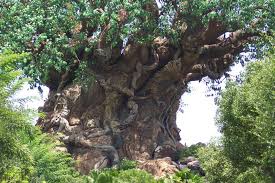 This tree is at Nalgonda(A.P), India ...