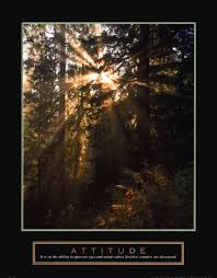 Attitude: Forest Light Print - via Daymix
