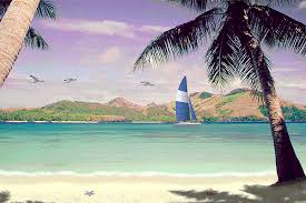 2429-Living_Beaches.gif 8