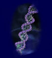   Double Helix  
