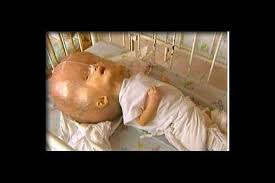      6  agent   orange vietnam jpg