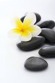  Holistic Health  is an option