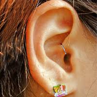 What  Ear Staple   Appetite    