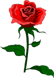 Quality flowers from quality