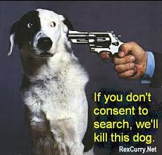 sniffer  dogs  