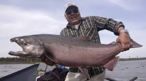   Alaska Fishing   Lodge