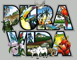 pura vida