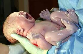 Human infant newborn baby - via Daymix
