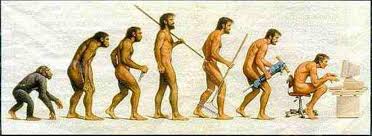 Models in Human Evolution - via Daymix